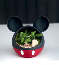 Load image into Gallery viewer, Mickey Mouse Vase, A Great Gift Idea!
